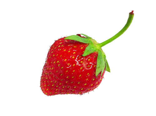Strawberry Seeds - Uses in Natural Beauty and Skincare