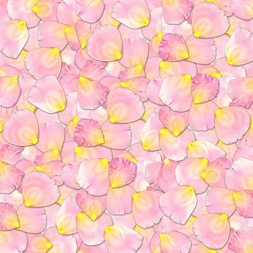 Rose petals Herb & Hedgerow