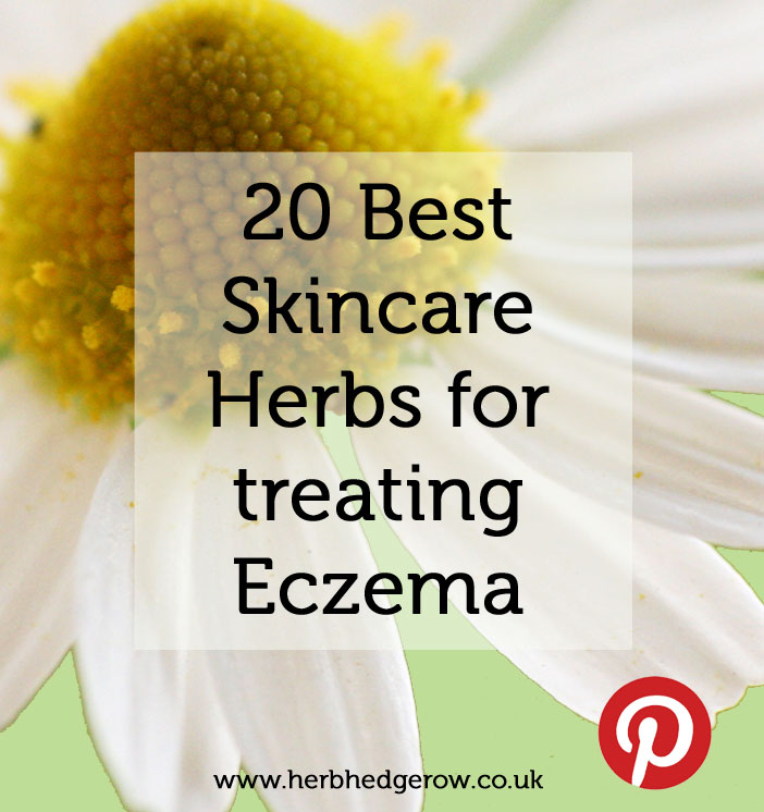 20 best herbs for treating eczema