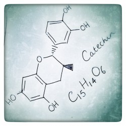Catechin Cosmeceutical Green Tea