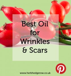 Best Oil for Wrinkles & Scars