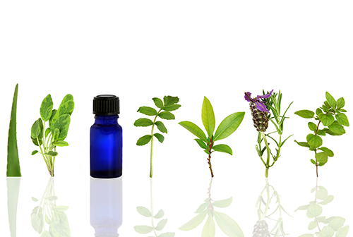 Can Essential Oils get into your Bloodstream?